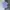 Kemeja pendek Raplhlauren strip babyblue photo 1