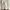 converse chuck 70 crafted laces photo 3