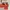 converse chuck 70 crafted laces photo 4