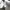 ESCO Y2k Broken White Jacket  photo 4