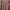 Maxi Dress Dusty Rose photo 1