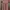Maxi Dress Dusty Rose