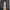 True Religion Y2K Skinny jeans Wanita blue photo 4