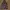 Rare Nike X FC Real Bristol Camo Jacket photo 2