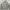Uniqlo Grey Full Zip Hoodie