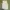 HnM Sleeveless Shirt White photo 1
