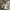 Adidas Vintage Casual Jersey Pria white photo 5