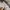 Adidas Vintage Casual Jersey Pria white photo 8