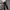 TRILLION FADING BLACK WASHED JEANS photo 5