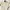 BURBERRY Cream Knit T-shirt photo 2