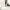 Marc Jacobs MJ Camera Snapshot in Moon White Crossbody Bag photo 7