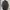 Yoshiyuki Konishi Grey Shirt photo 1