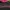 Hoodie Unglayer Neon Genesis black pink  photo 8