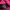 Hoodie Unglayer Neon Genesis black pink  photo 7