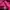 Hoodie Unglayer Neon Genesis black pink  photo 6