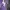 Fila Minimalist Casual T-shirt Pria purple white photo 3
