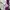 Gucci Luxury Bomber jacket Wanita multicolor photo 8