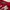 JERSEY BASEBALL KIA TIGERS TAG BY NEPOS ORIGINAL 100% photo 4
