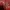 shoulder bag kulit merah photo 8