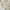 Cream Highwaist Cargo Celana Jeans photo 2
