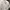Nevada Streetwear Casual Casual Shirt Kids White Black