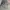 LIGHT GREY FADING WASHED JEANS photo 5