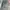 LIGHT GREY FADING WASHED JEANS photo 7