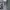 LIGHT GREY FADING WASHED JEANS photo 1