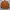 Dickies Streetwear Vintage Denim jacket Pria brown photo 7