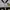 jersey nfl reebok photo 4