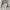 Stussy Streetwear Vintage Hoody Pria white blue photo 7