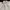 FUCT OG LOGO WHITE photo 3