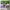 Why? (Otak) photo 2