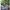 Why? (Otak) photo 1