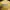 CELINE Luxury Polo shirt Pria yellow photo 4