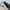 Find Kapoor Two Color Straps Slingbag Original photo 4