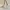 Find Kapoor Two Color Straps Slingbag Original photo 3