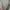 Esprit De Corp Gemotric Pattern Zip Hoodie photo 6