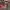 Esprit De Corp Gemotric Pattern Zip Hoodie photo 7