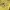 Japanese brand Streetwear T-shirt Pria yellow photo 2