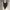 ARUS Square Neck Bodysuit photo 1