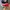 Converse CT Allstar Hi Red White photo 3
