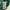 Uniqlo Casual Polo shirt Pria green white photo 6