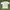 Carlsberg Knit Poloshirt photo 2