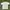 Carlsberg Knit Poloshirt