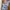 Satin Dress-Korean Dress-Summer Dress photo 3
