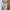 Satin Dress-Korean Dress-Summer Dress photo 1