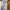 Satin Dress-Korean Dress-Summer Dress photo 7