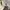 Baonhouse wide baggy relaxpants beige photo 8