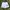 Diadora Short Tennis Running Paddle Pants  photo 1